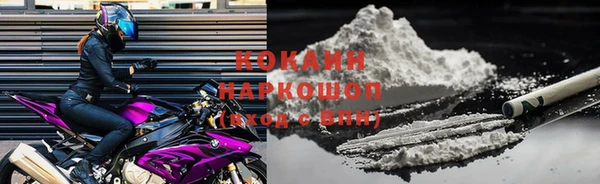 дживик Богданович
