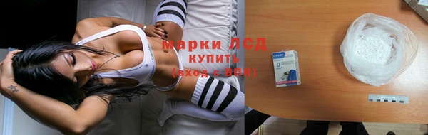 дживик Богданович