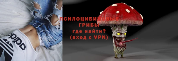 дурь Богородицк