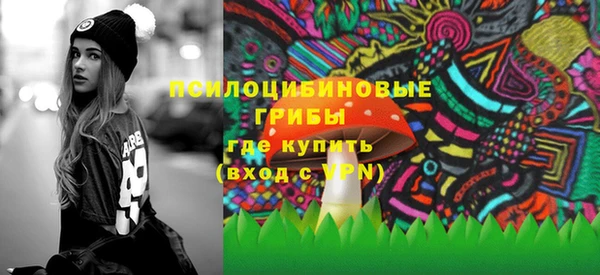 дурь Богородицк