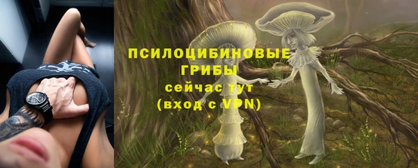 дживик Богданович