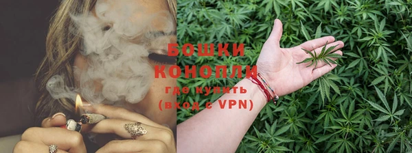 дурь Богородицк