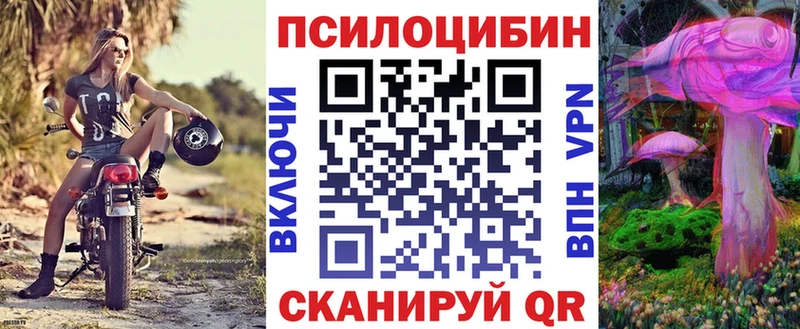 mega вход  Муравленко  Галлюциногенные грибы Cubensis 